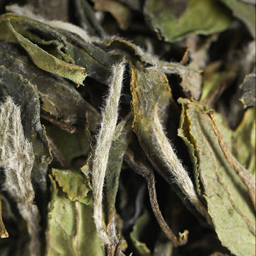 White Peony Tea Bag 15pcs White Tea Chinese Tea